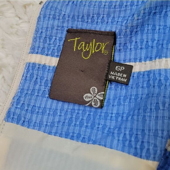 Taylor (Anthropology) Textured Pleated Striped Blue & White Fit & Flare Dress - Picture 6 of 8